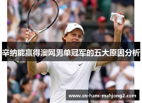 辛纳能赢得澳网男单冠军的五大原因分析